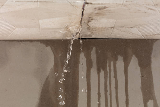 Professional Structural Drying technician working in Greenbush, ME